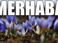 Şehitler diyarı Sarıkamış çiçeklerle bahara "merhaba" dedi