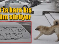 Kars’a Nisan ayında lapa lapa kar yağdı