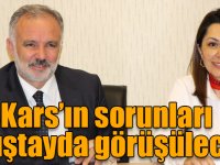 Kars’ın sorunları çalıştayda görüşülecek!