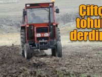 Çiftçi tohum derdinde