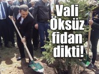 Kars Valisi Türker Öksüz fidan dikti!