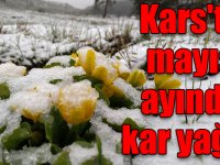 Kars'ta mayıs ayında kar yağışı