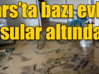 Kars'ta şiddetli yağış