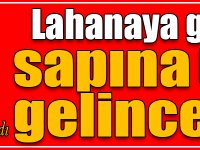 Lahanaya gelince hım hım sapına gelince meee!