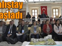 Kars’ta “Yerel Yönetimler ve Sağlık Çalıştayı” başladı