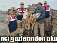Kars’ta hayvan hırsızları yakalandı
