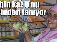 4 bin kaz O’nu sesinden tanıyor