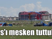 Dilenciler Kars'ı mesken tuttu