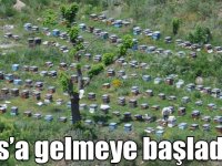 Arıcılar Kars’a gelmeye başladı