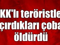 Kars'ta PKK'lı teröristler kaçırdıkları çobanı öldürdü