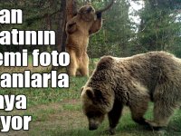 Yaban hayatının gizemi foto kapanlarla ortaya çıkıyor