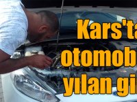 Kars'ta park halindeki otomobile giren yılanı itfaiye çıkarttı