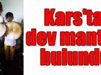 Kars'ta 3 kilogramlık dev mantar bulundu