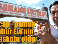 Kars'ta sincap "pamuk", Kültür Evi'nin maskotu oldu