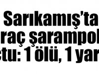 Sarıkamış’ta araç şarampole uçtu: 1 ölü, 1 yaralı