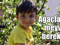 Sarıkamış'ta ağaçlarda meyve bereketi