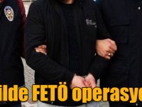 Adana merkezli 20 ilde FETÖ operasyonu