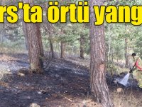 Kars'ta örtü yangını