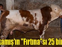 Sarıkamış'ın "Fırtına"sı 25 bin lira