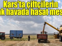 Kars'ta çiftçilerin sıcak havada hasat mesaisi