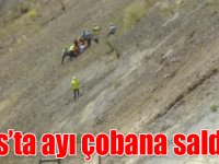 Kars’ta ayı çobana saldırdı