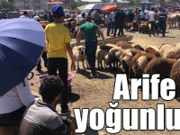 Kars'ta hayvan pazarında arife yoğunluğu