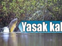 Kars’ta balık avı yasağı kalktı