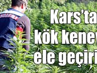 Kars’ta bin 75 kök kenevir ele geçirildi