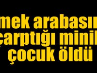 Kars'ta ekmek arabasının çarptığı minik çocuk öldü
