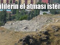 Yetkililerin el atması isteniyor