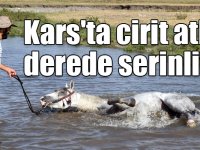 Kars'ta cirit atları derede serinliyor