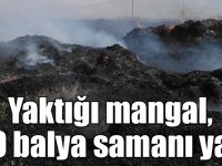 Yaktığı mangal, 400 balya samanı yaktı