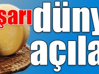 Kars kaşarı dünyaya açılacak!