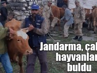 Jandarma, Susuz’da çalınan hayvanları Ardahan’da buldu