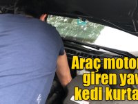 Araç motoruna giren yavru kedi kurtarıldı