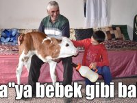 Kars'ta üç ayaklı "Şifa"ya bebek gibi bakım