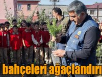 Sarıkamış'ta okul bahçeleri ağaçlandırılıyor