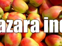 Tescilli "uzun elma" pazara indi