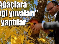 Okul bahçesindeki ağaçlara "sevgi yuvaları" yaptılar