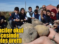 Öğrenciler okul bahçesinde patates üretti