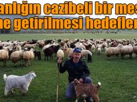 Çobanlığın cazibeli bir meslek haline getirilmesi hedefleniyor