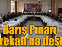 Barış Pınarı Harekatı'na destek