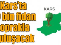 Kars’ta 29 bin fidan toprakla buluşacak