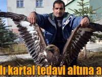 Kars'ta yaralı bulunan kartal tedavi altına alındı
