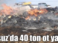 Susuz’da 40 ton ot yandı