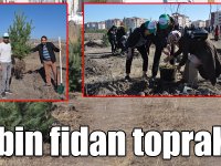 Kars’ta 29 bin fidan toprakla buluştu
