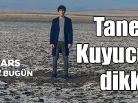 Oyuncu Taner Ölmez, Kuyucuk Gölüne dikkat çekti