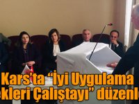 Kars’ta “İyi Uygulama Örnekleri Çalıştayı” düzenlendi