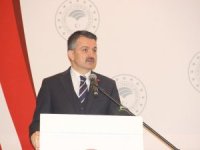 “İthalatı sonlandırmakta kararlıyız”