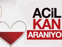 Kars'ta acil kan aranıyor